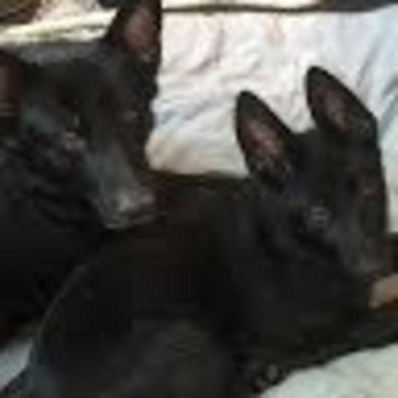 Meet your Posher, Ellen - Picture 1 of 1